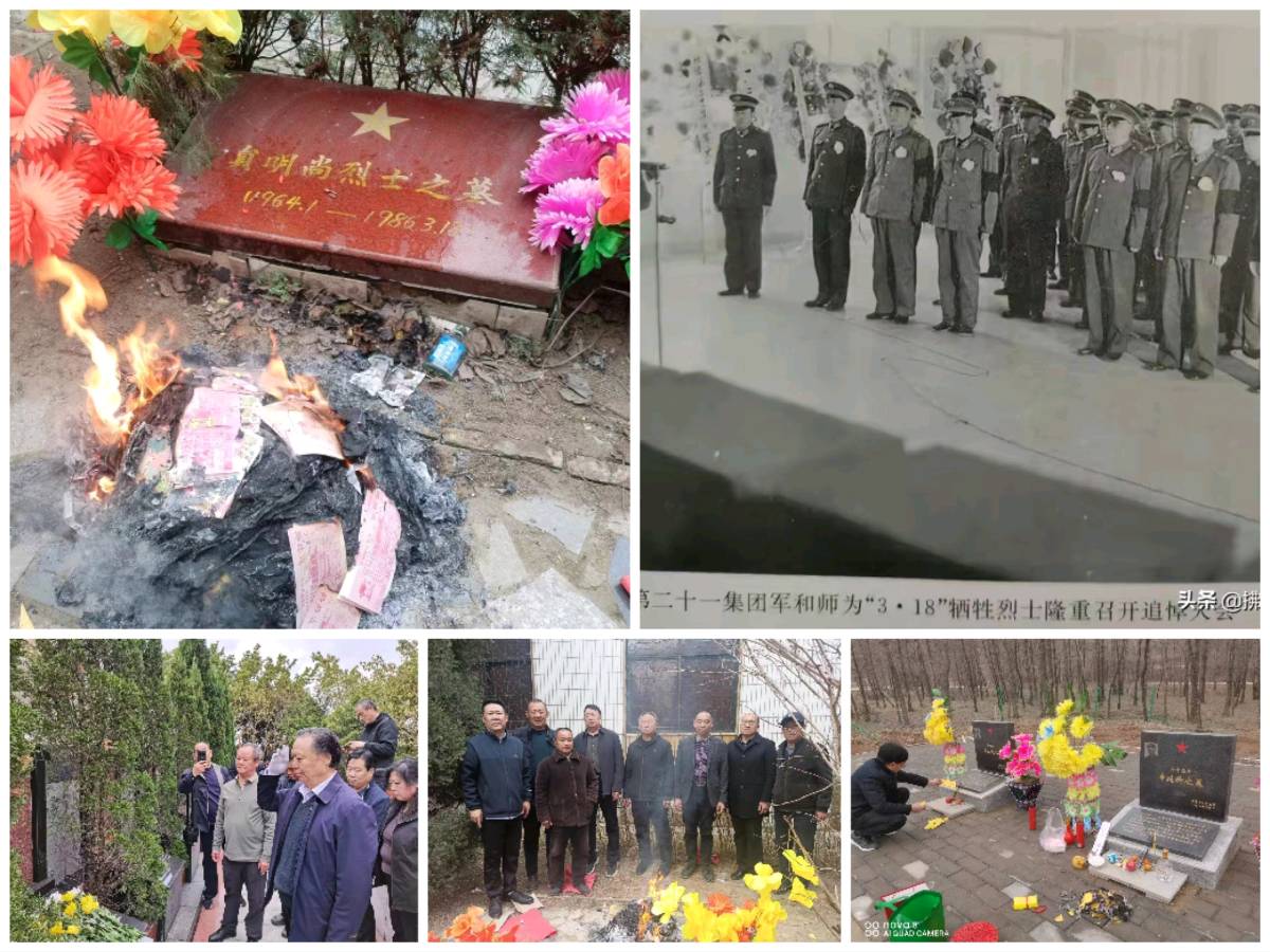 【重磅推出血染的风采】李云//又是一年木棉红 （鲁坡//仰望群山你为峰）（图13）