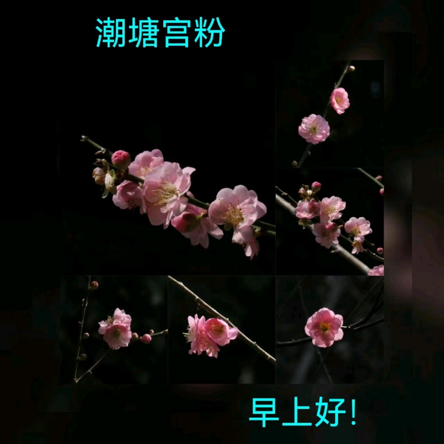 联机全球发布马洪武作品欣赏（图144）