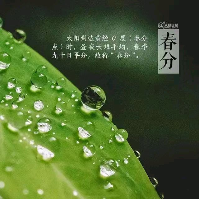 《〈春分〉诗词荟萃》（诗友合集）9159期～新京都文艺（图3）