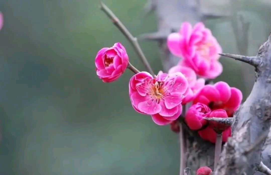 陈正的《重游王冲古道九曲十八弯》(图3)