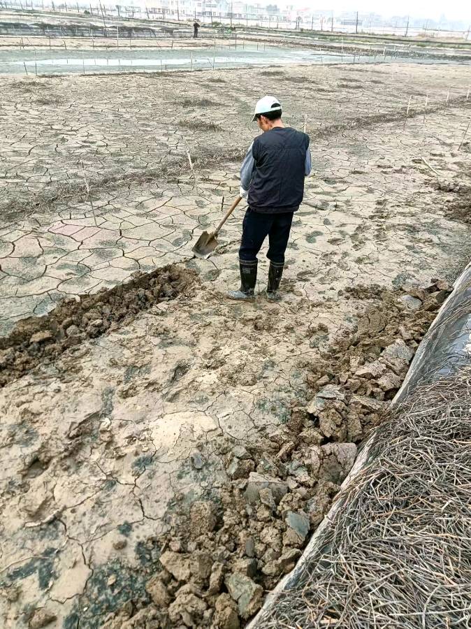 种田人（图2）