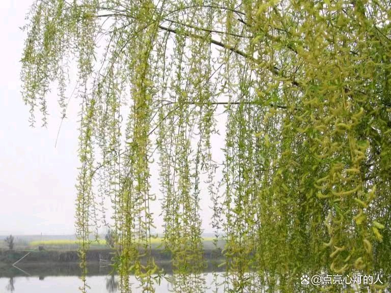 岩石诗词专辑(图3)