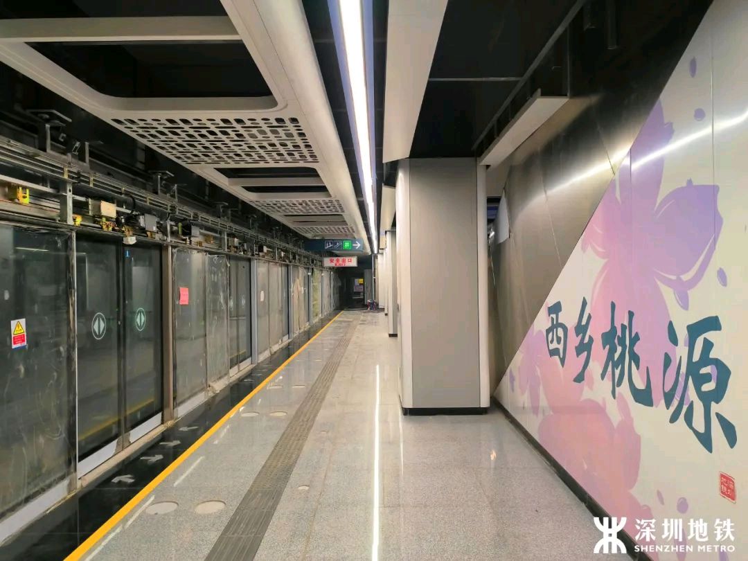 《十二号站台*杏花微雨》 倚楼望月诗社2024年第一期同题诗（图7）