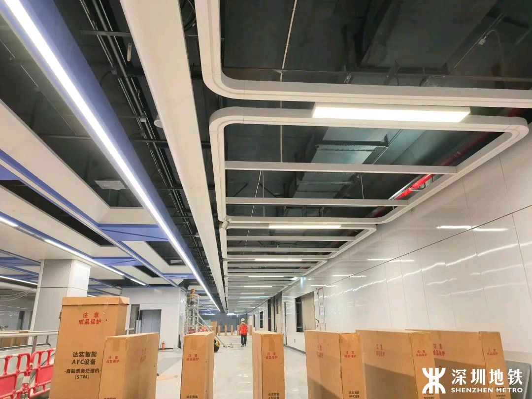 《十二号站台*杏花微雨》 倚楼望月诗社2024年第一期同题诗（图30）