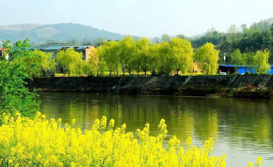 踏莎行-春分(组合)词||于兴庆(图16)