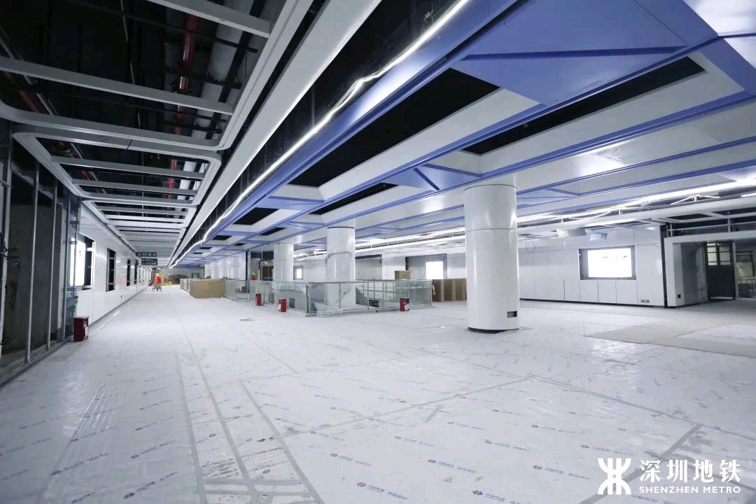 《十二号站台*杏花微雨》 倚楼望月诗社2024年第一期同题诗（图34）