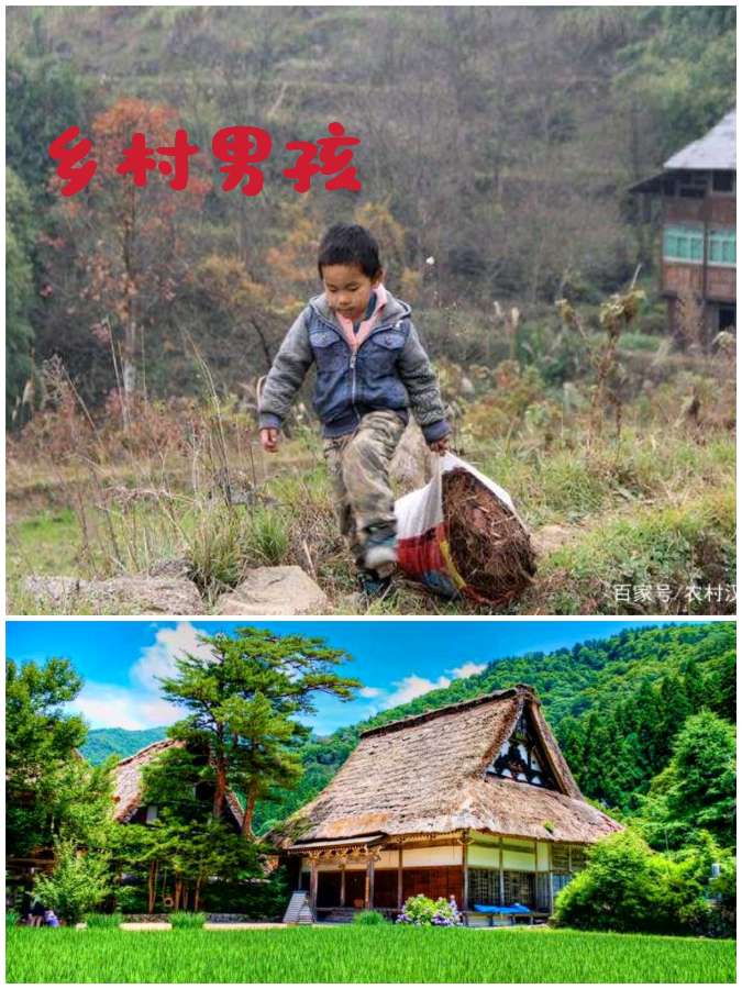 【重磅推出 纪实文学】桂秀国//细毛诞生记（图3）