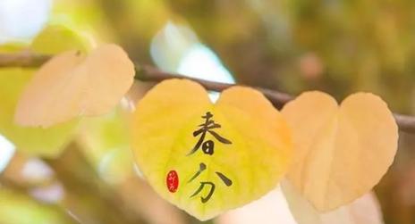荐赏：《春之赋》作家诗人周镇添-中华诗经阁编委兼荣誉顾问（图5）