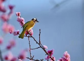 【荣耀中国】古风.春到家乡处处情作者/刘同芳（山东）（图4）