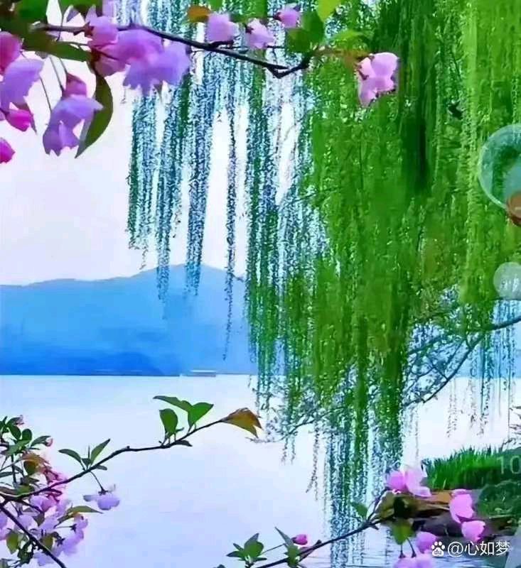 【荣耀中国】看戏感吟作者/海洋（图3）