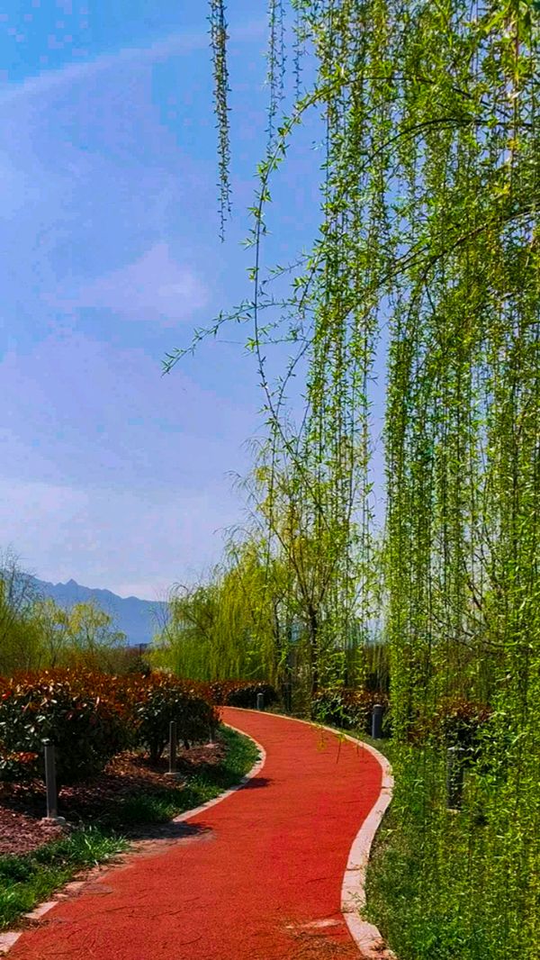 请欣赏影儿 田心倾情朗诵李振和老师的作品《春分雅韵•异地乡愁》编辑//海纳百川/【中国长江文学社】有声文学平台【第8106期】（图5）