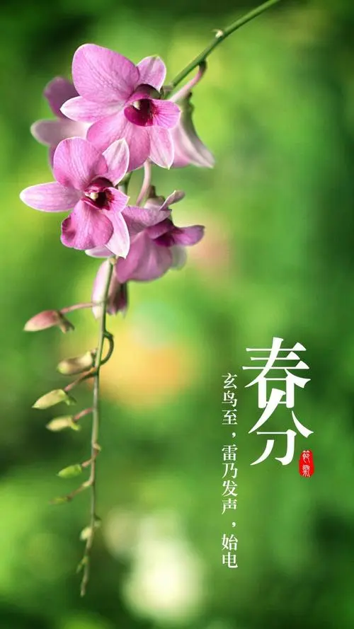 春分‖巴彦诗词楹联协会【664】(图2)