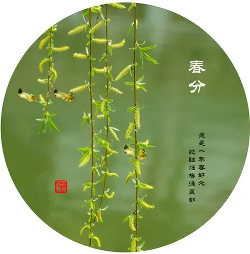 春分‖巴彦诗词楹联协会【664】（图7）