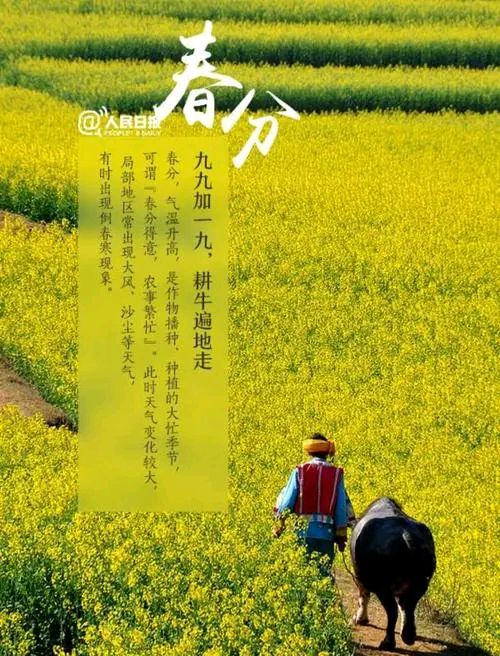 春分‖巴彦诗词楹联协会【664】(图9)