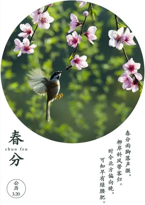 春分‖巴彦诗词楹联协会【664】(图8)