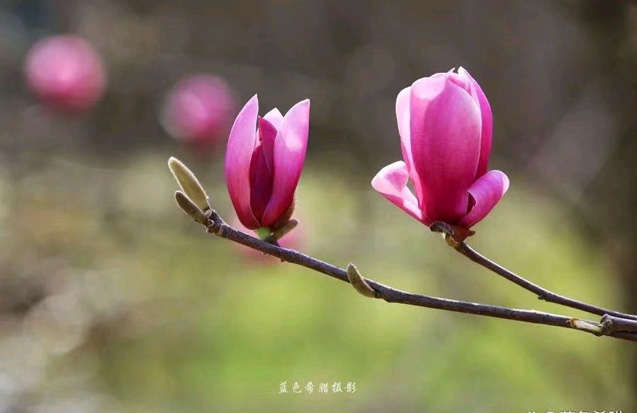 遇见后的想念（图2）