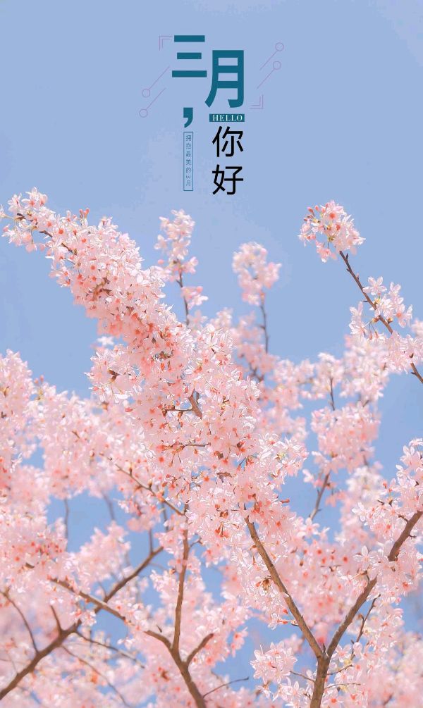 【中国长江文学社】《三月春歌》作者 张德才//主播 缈邈//编辑 岁月静好 第8101期（图3）