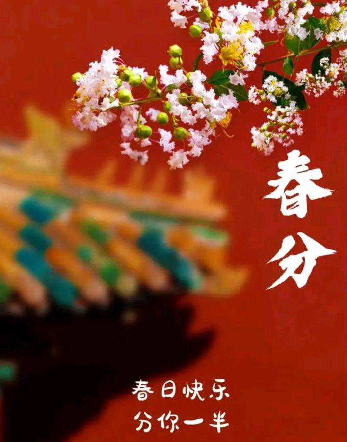 《九江文学社：北京头条》《甲辰春分节气》专刊【总第2018期】（图7）
