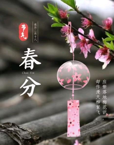 《九江文学社：北京头条》《甲辰春分节气》专刊【总第2018期】（图3）