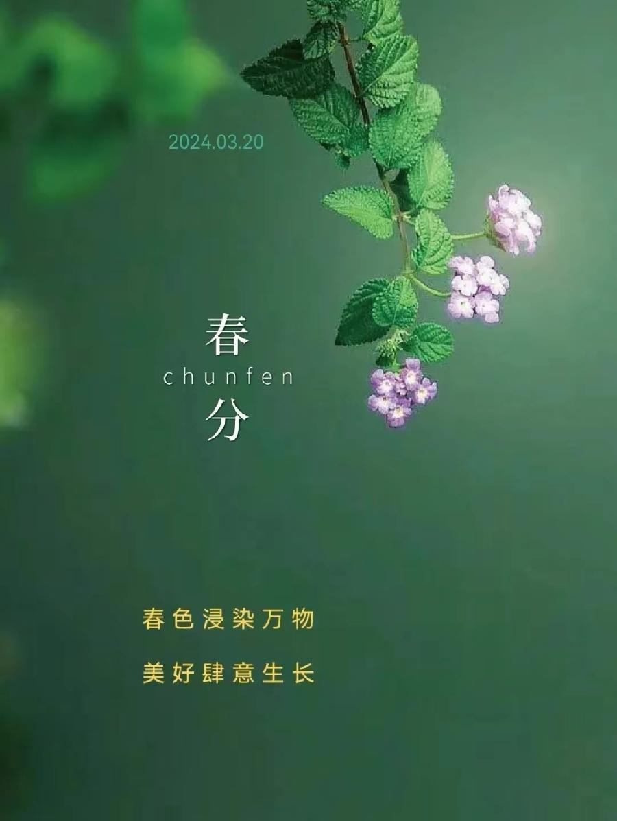 我为春天写下最美的诗行/医道赋（文/孙述考）……莲叶之珠文学社