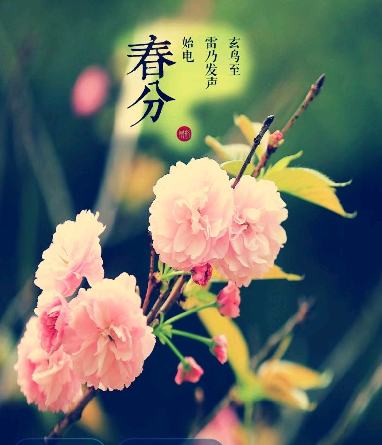 《九江文学社：北京头条》《甲辰春分节气》专刊【总第2018期】（图8）