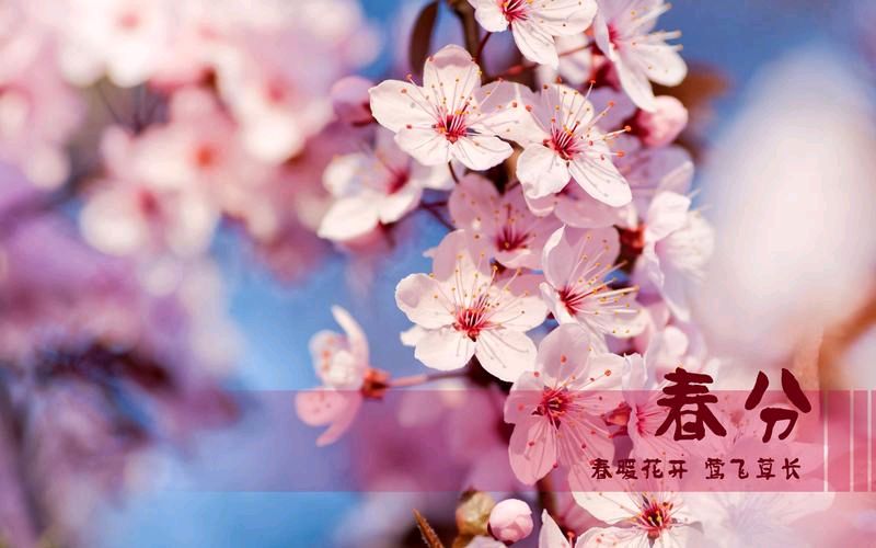 《九江文学社：北京头条》《甲辰春分节气》专刊【总第2018期】（图12）
