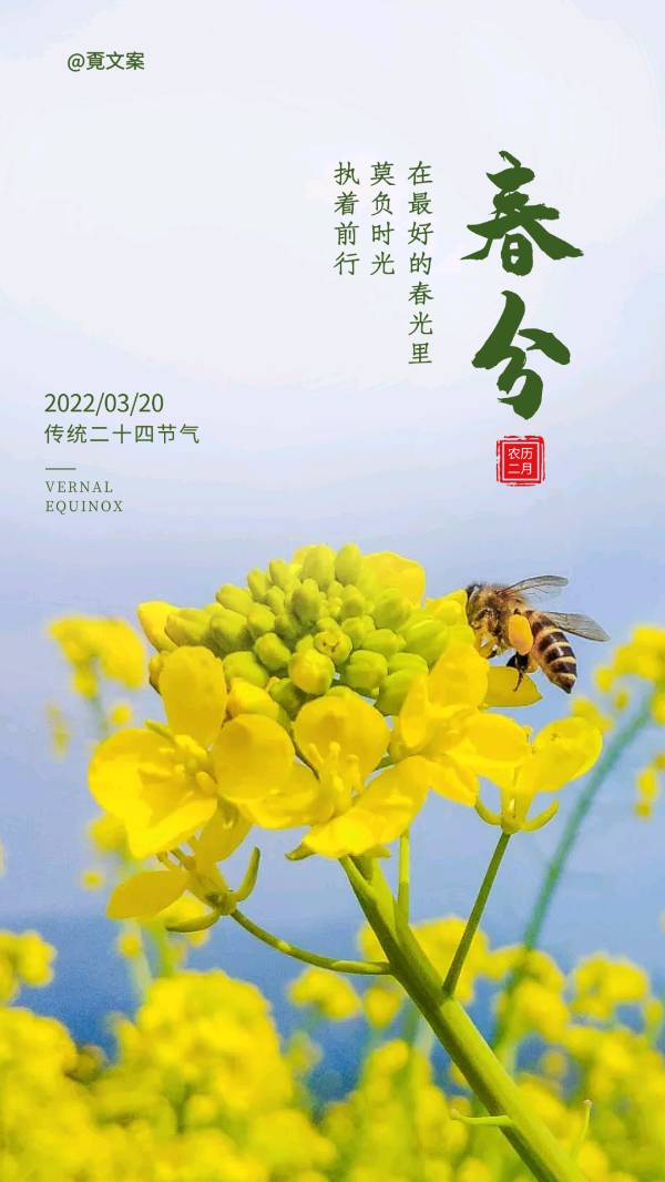 《九江文学社：北京头条》《甲辰春分节气》专刊【总第2018期】（图18）