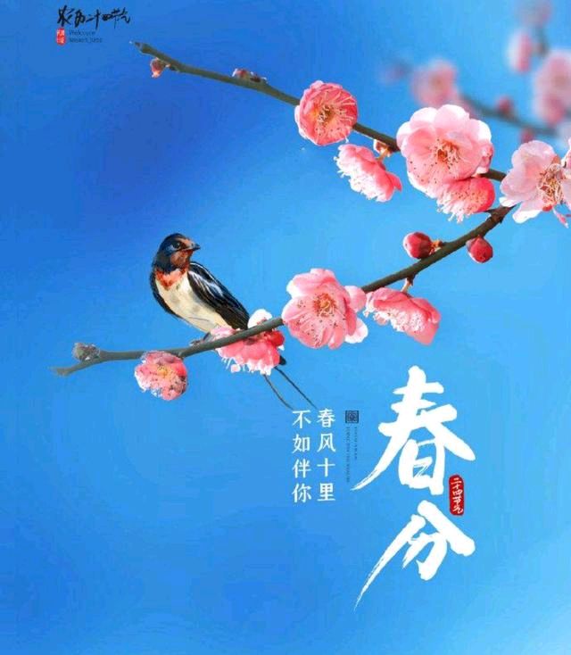 《九江文学社：北京头条》《甲辰春分节气》专刊【总第2018期】（图20）