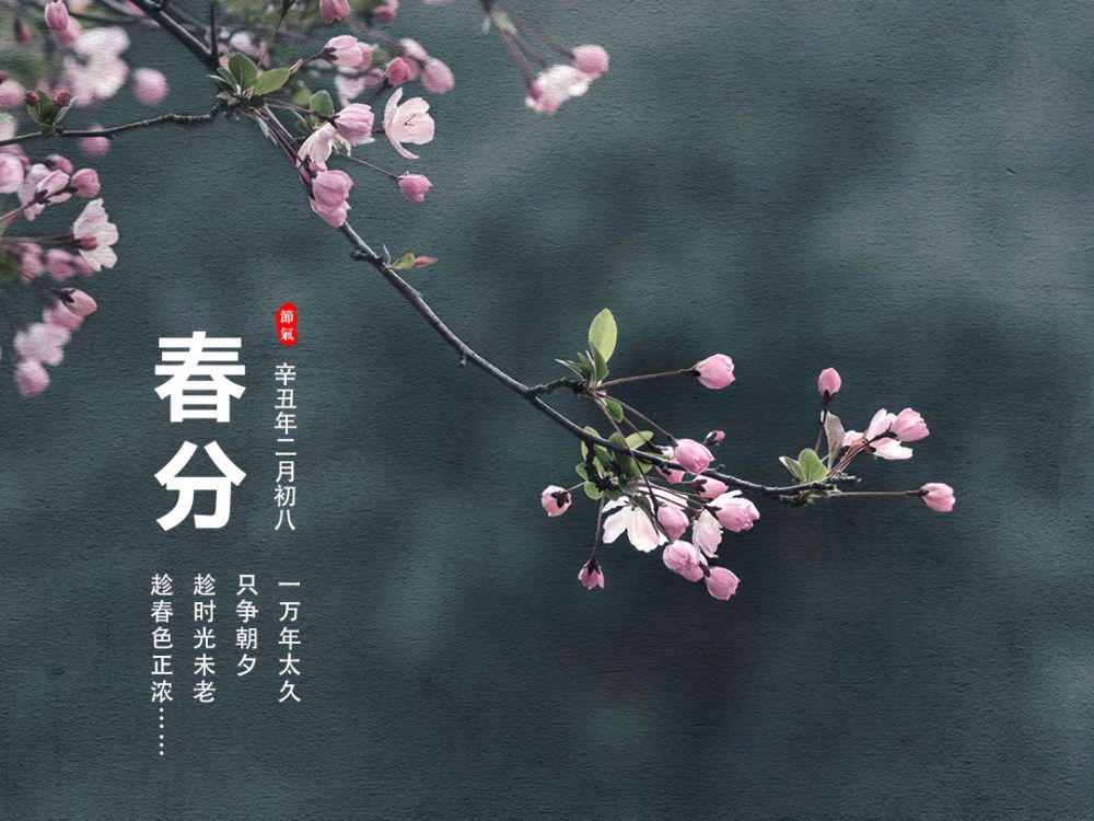 《九江文学社：北京头条》《甲辰春分节气》专刊【总第2018期】（图24）