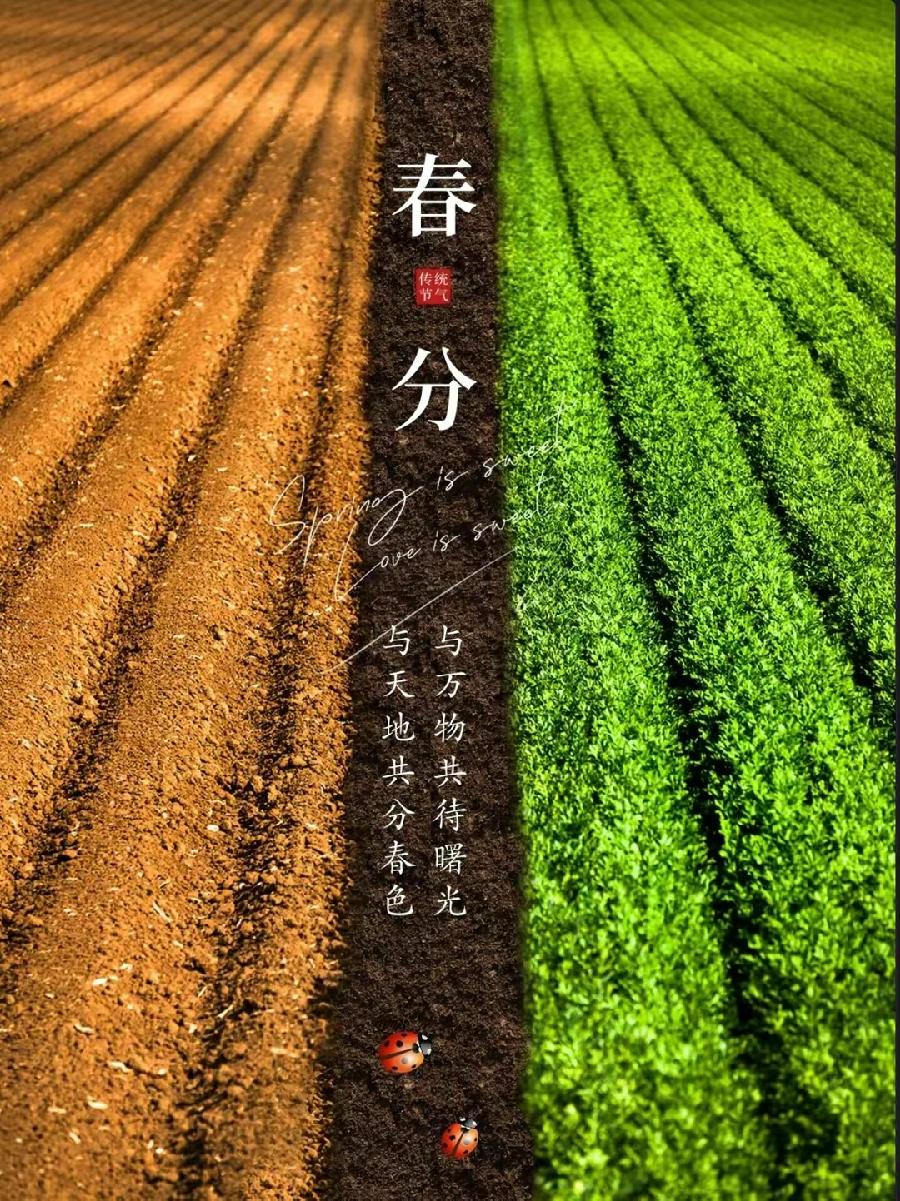 画堂春·甲辰春分（文/许碧霞）/七律·甲辰春分（文/冯清明）……莲叶之珠文学社（图3）