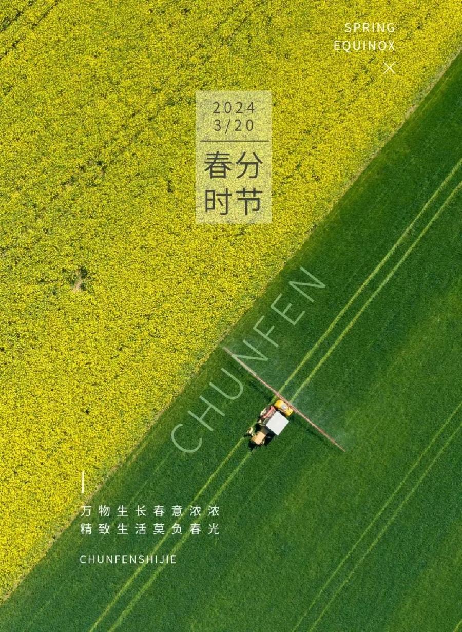 画堂春·甲辰春分（文/许碧霞）/七律·甲辰春分（文/冯清明）……莲叶之珠文学社（图6）