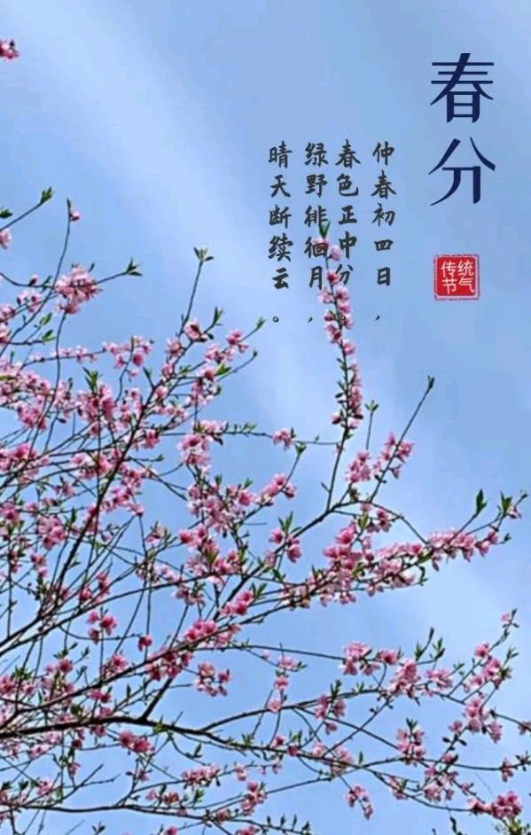 七律.春分 作者/卓顺贵（图2）