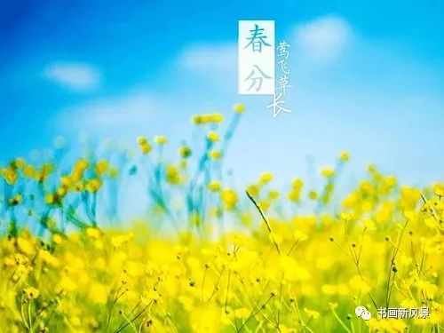 【名家风采】春分//文:蒲公英//《思归客文苑》征稿//都市头条（图3）