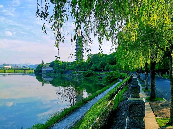 【明心文学】王宽喜·五绝·春（组诗六首）主播·花之语（图4）