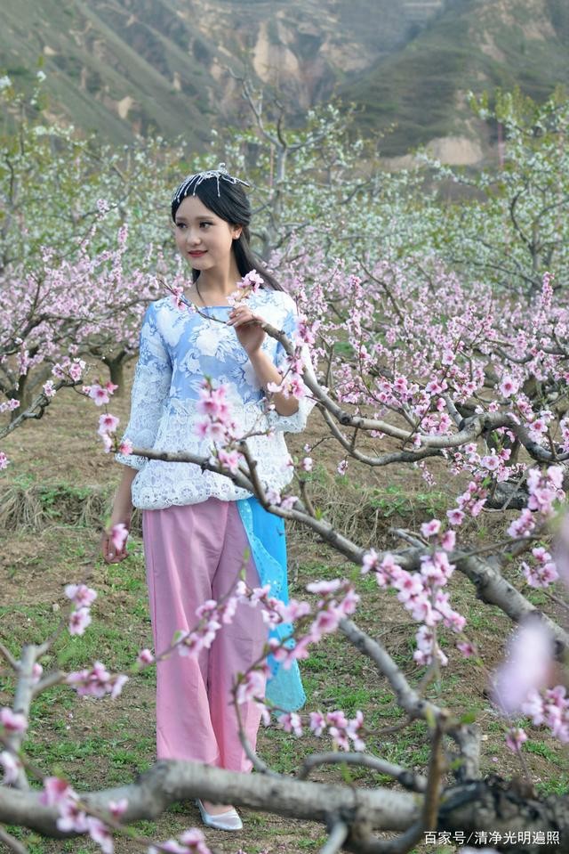 【美诗欣赏】等你春天里 文/骆驼草（图5）