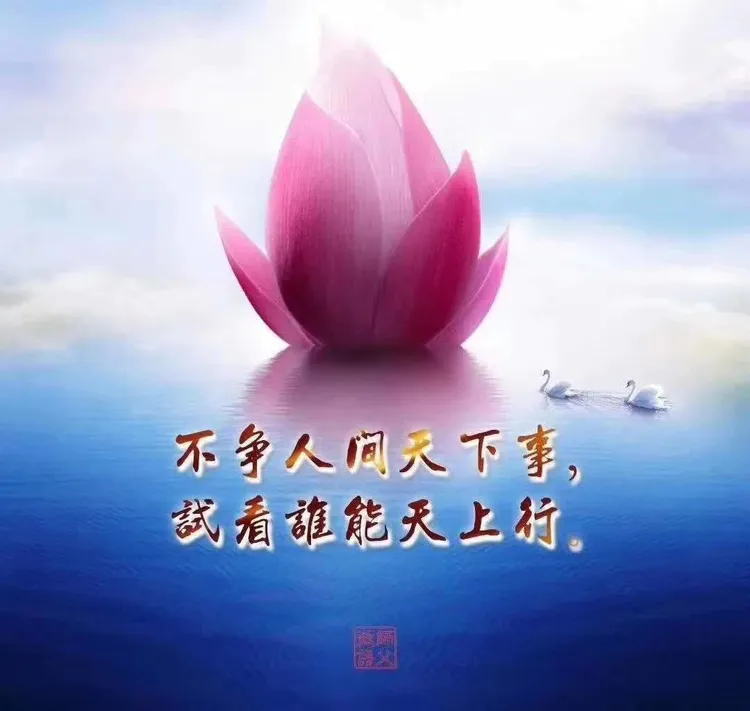 【小芹朗诵厅】致自己 作者/柳梦 主播/赵淑芹(图9)