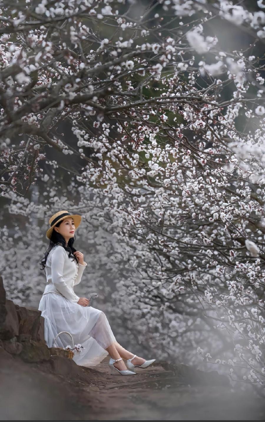 七绝-春光月夜～诗||郝文泉（图10）