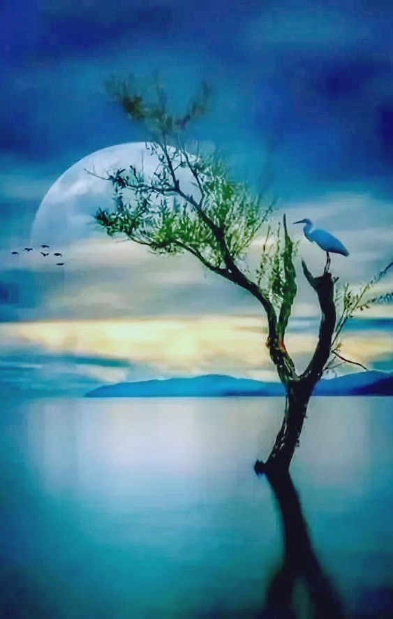 七绝-春光月夜～诗||郝文泉（图11）