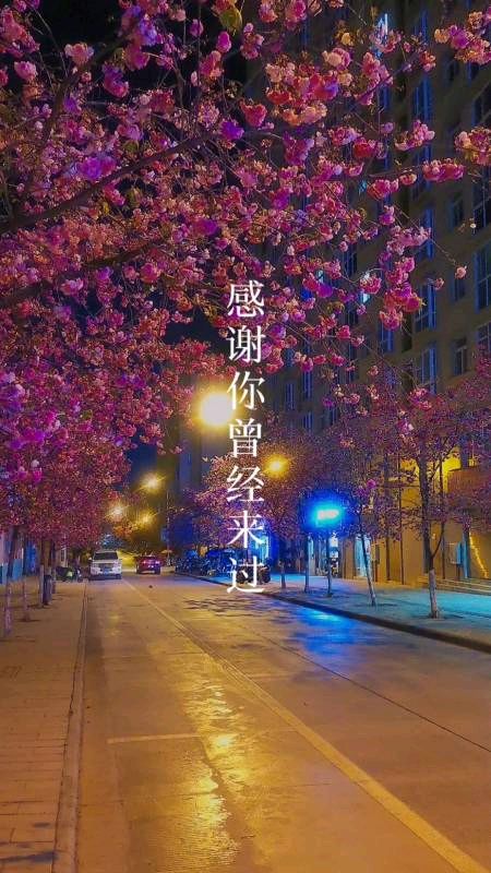 【小芹朗诵厅】致自己 作者/柳梦 主播/赵淑芹（图4）