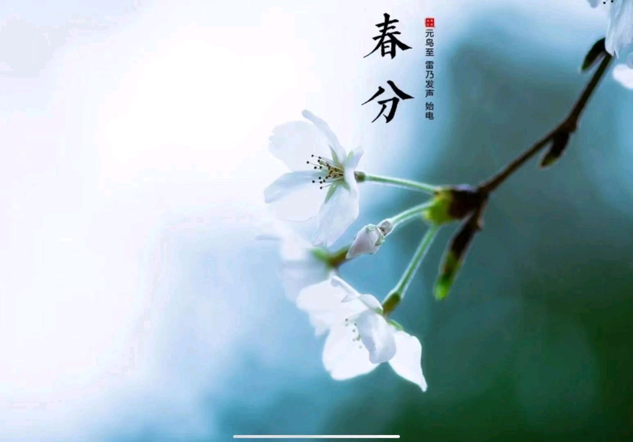 【国学雅韵社】综合刊第11期(图9)