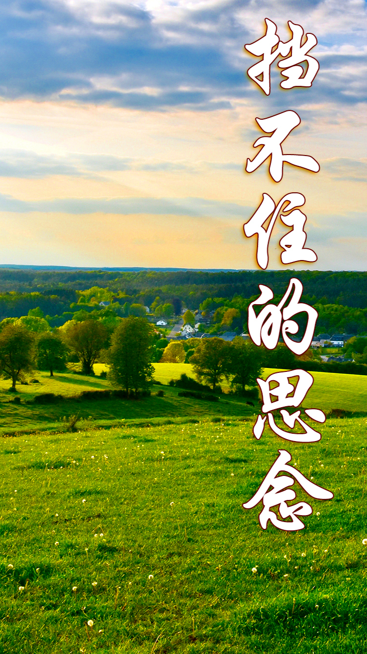 纪念父亲冥诞121周年（下）文||张连和（图12）