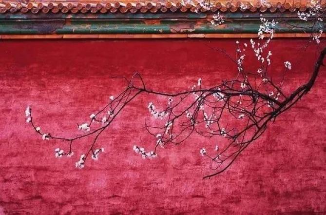 金子朗诵《金句》专集之十五；收集：金华(李敬党)；编辑：开心快乐【运河之春】(第151期)（图3）