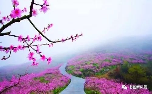 【名家风采】人生感悟（外一首）//作者:海阔天空//《思归客文苑》征稿——都市头条（图4）