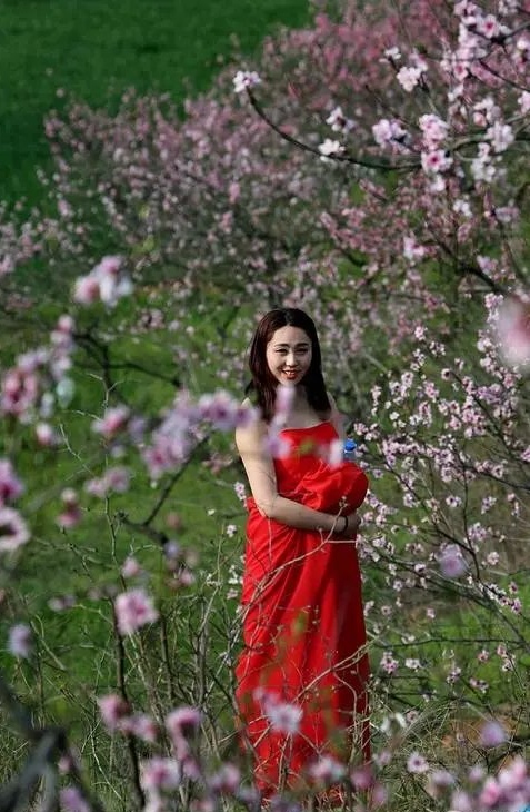 桃花山——步韵兄长诗～诗||朱学钊（图9）