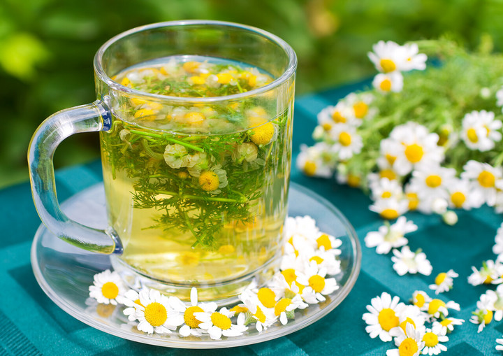 金湘粤茶韵(图2)