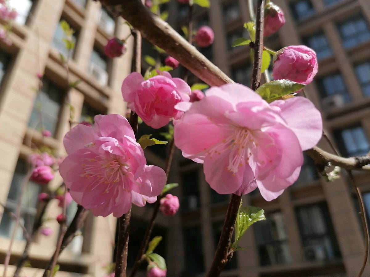写给3.21世界诗歌日（图2）