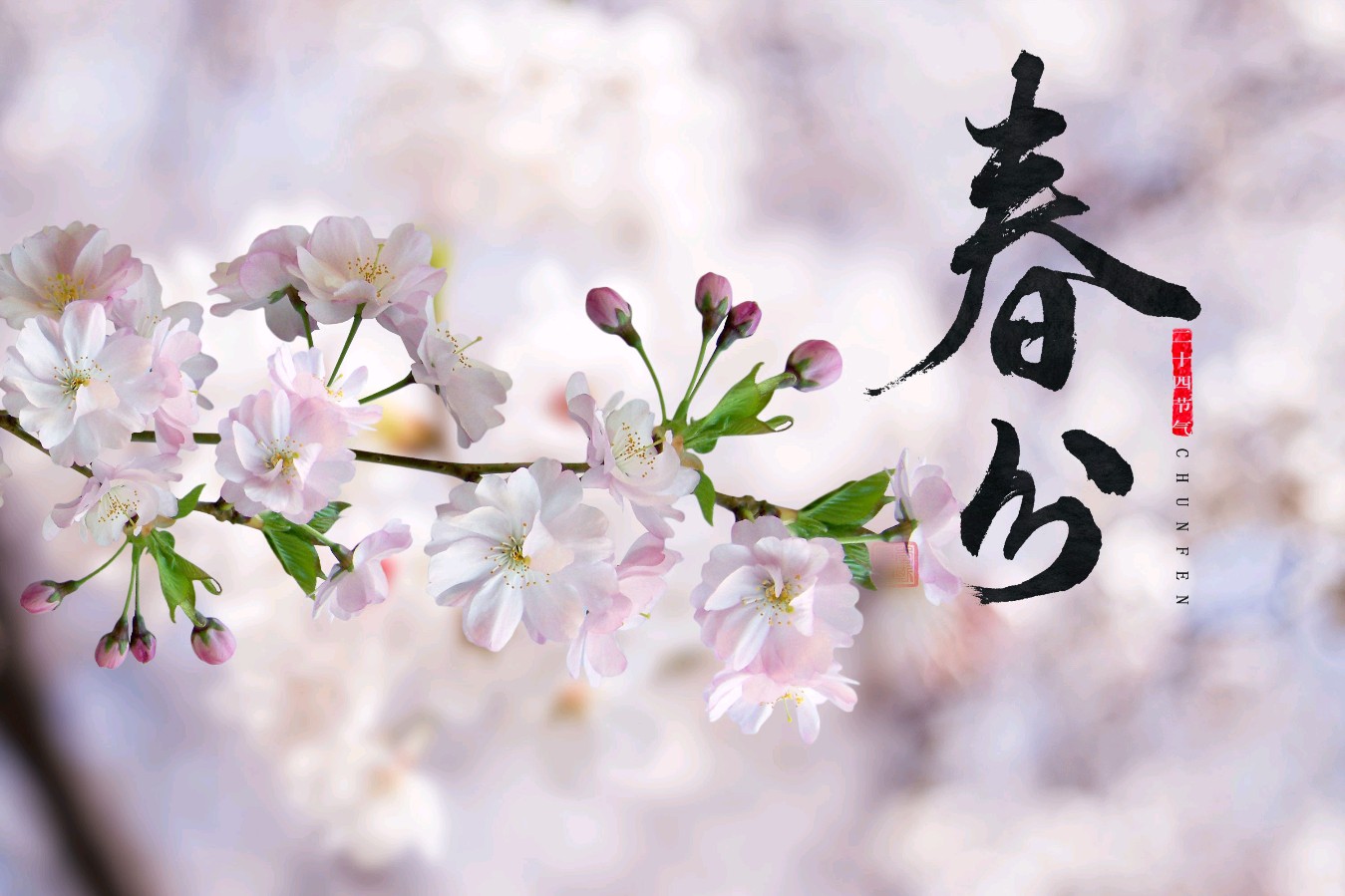 刘晁林《春分》（图3）