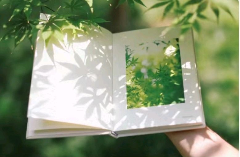 网络降血糖减肥妙招（图5）