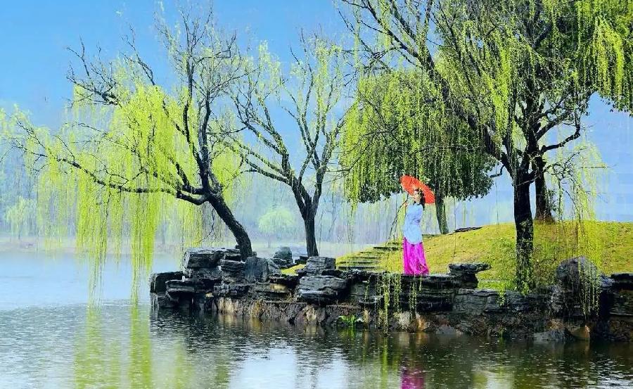 七绝-春分问春（组合）诗||童歌（图12）