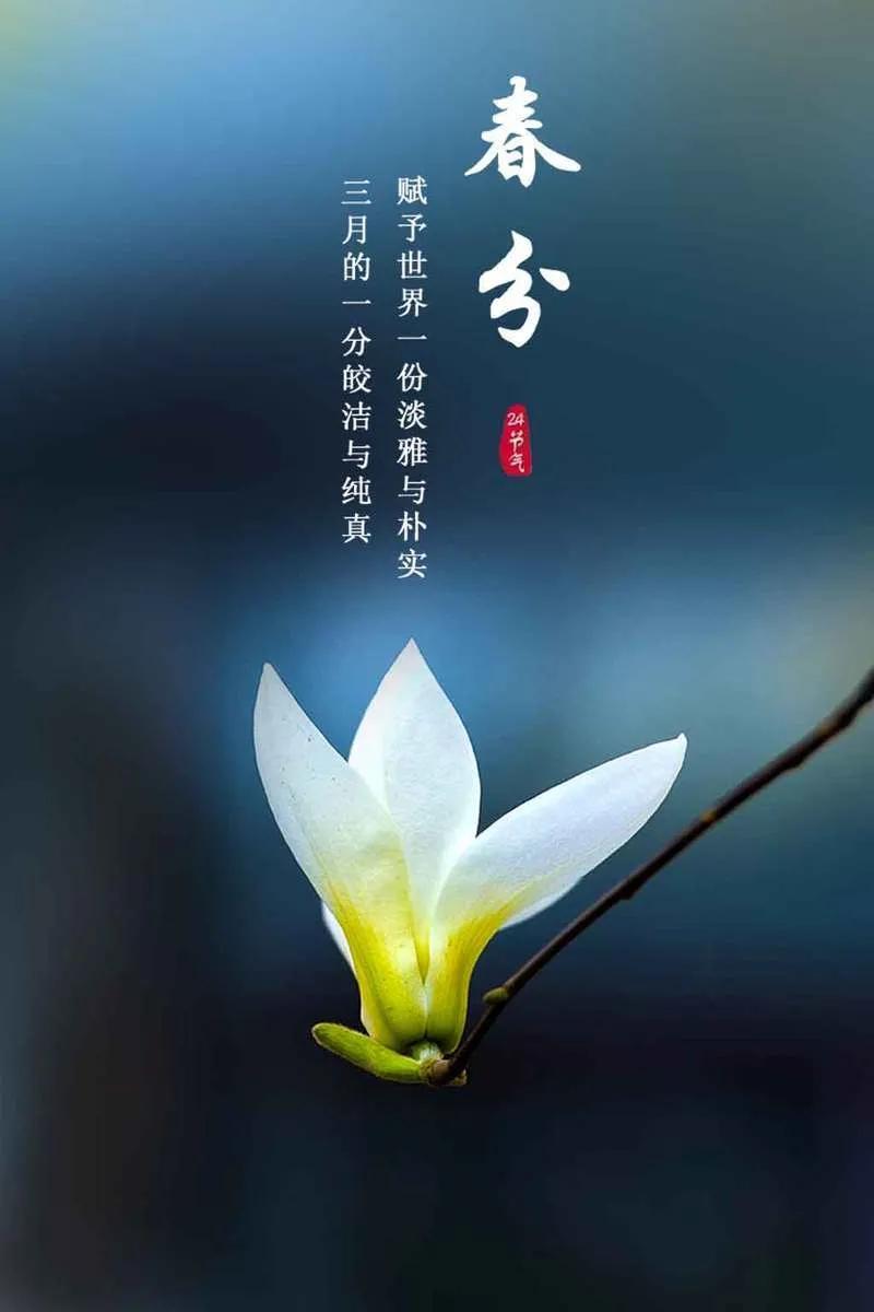 春分日叹春（文/彭云南）……莲叶之珠文学校